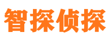 天河外遇出轨调查取证